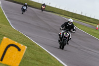 PJ-Motorsport-2019;anglesey-no-limits-trackday;anglesey-photographs;anglesey-trackday-photographs;enduro-digital-images;event-digital-images;eventdigitalimages;no-limits-trackdays;peter-wileman-photography;racing-digital-images;trac-mon;trackday-digital-images;trackday-photos;ty-croes